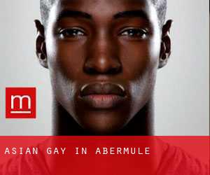 Asian gay in Abermule