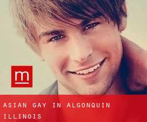 Asian gay in Algonquin (Illinois)
