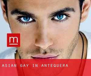 Asian gay in Antequera