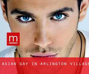Asian gay in Arlington Village