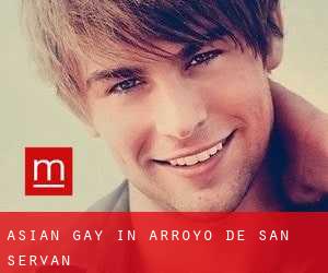 Asian gay in Arroyo de San Serván