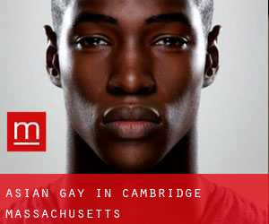 Asian gay in Cambridge (Massachusetts)