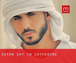 Asian gay in Cathedine