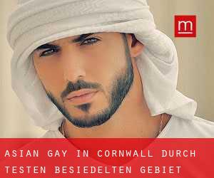 Asian gay in Cornwall durch testen besiedelten gebiet - Seite 1
