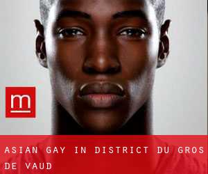 Asian gay in District du Gros-de-Vaud