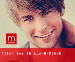 Asian gay in Llanenddwyn