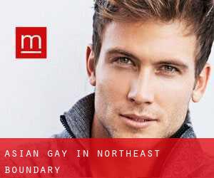 Asian gay in Northeast Boundary