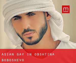 Asian gay in Obshtina Boboshevo
