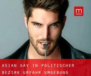 Asian gay in Politischer Bezirk Urfahr Umgebung