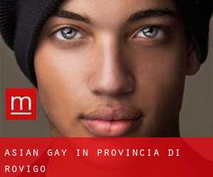 Asian gay in Provincia di Rovigo