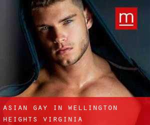 Asian gay in Wellington Heights (Virginia)