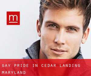 Gay Pride in Cedar Landing (Maryland)