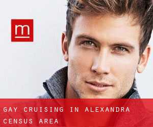 Gay cruising in Alexandra (census area)