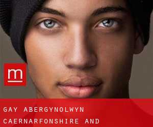 gay Abergynolwyn (Caernarfonshire and Merionethshire, Wales)