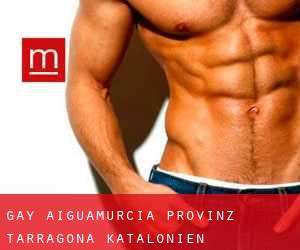 gay Aiguamúrcia (Provinz Tarragona, Katalonien)