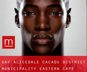 gay Alicedale (Cacadu District Municipality, Eastern Cape)