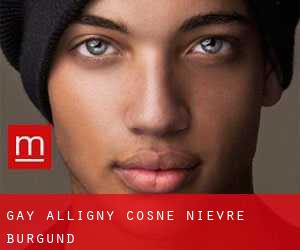 gay Alligny-Cosne (Nièvre, Burgund)