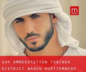 gay Ammerstetten (Tubinga District, Baden-Württemberg)