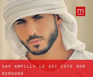 gay Ampilly-le-Sec (Cote d'Or, Burgund)