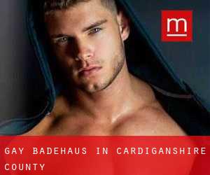gay Badehaus in Cardiganshire County
