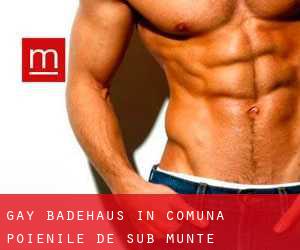 gay Badehaus in Comuna Poienile de sub Munte