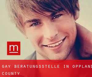 gay Beratungsstelle in Oppland county