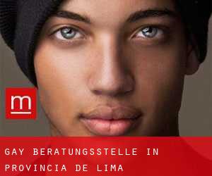 gay Beratungsstelle in Provincia de Lima
