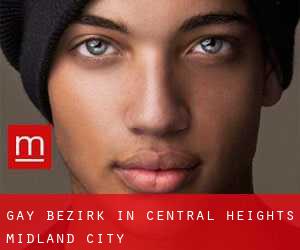 gay Bezirk in Central Heights-Midland City