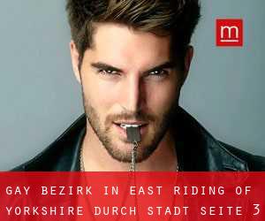 gay Bezirk in East Riding of Yorkshire durch stadt - Seite 3