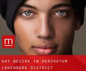 gay Bezirk in Herzogtum Lauenburg District