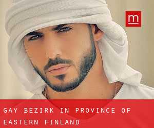 gay Bezirk in Province of Eastern Finland