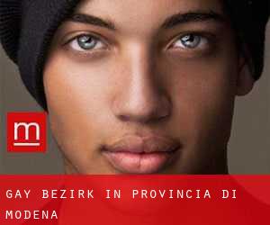 gay Bezirk in Provincia di Modena