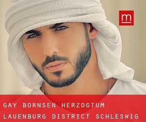 gay Börnsen (Herzogtum Lauenburg District, Schleswig-Holstein)