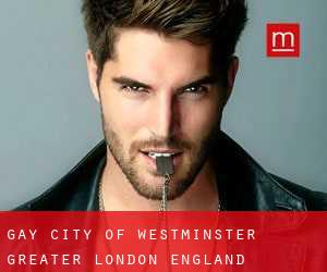 gay City of Westminster (Greater London, England)