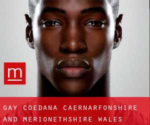 gay Coedana (Caernarfonshire and Merionethshire, Wales)