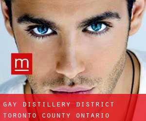 gay Distillery District (Toronto county, Ontario)