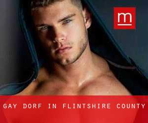 gay Dorf in Flintshire County