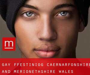 gay Ffestiniog (Caernarfonshire and Merionethshire, Wales)