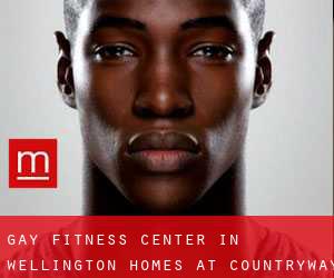 gay Fitness-Center in Wellington Homes at Countryway