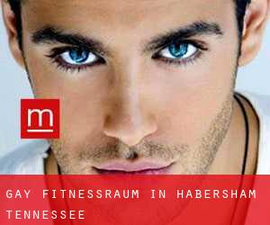 gay Fitnessraum in Habersham (Tennessee)