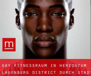 gay Fitnessraum in Herzogtum Lauenburg District durch stadt - Seite 3
