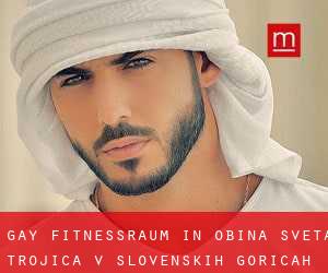 gay Fitnessraum in Občina Sveta Trojica v Slovenskih Goricah