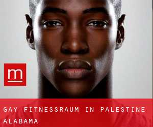 gay Fitnessraum in Palestine (Alabama)
