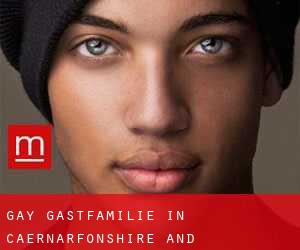 gay Gastfamilie in Caernarfonshire and Merionethshire