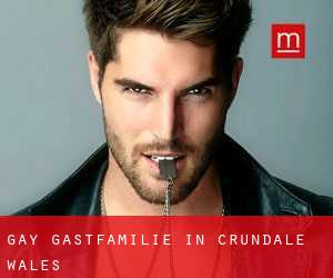 gay Gastfamilie in Crundale (Wales)