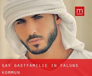gay Gastfamilie in Faluns Kommun