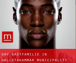 gay Gastfamilie in Hallstahammar Municipality