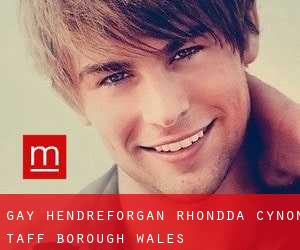 gay Hendreforgan (Rhondda Cynon Taff (Borough), Wales)