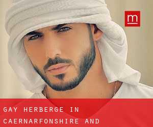 Gay Herberge in Caernarfonshire and Merionethshire durch kreisstadt - Seite 1