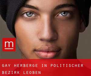 Gay Herberge in Politischer Bezirk Leoben